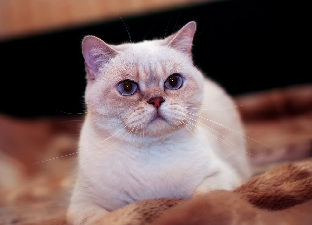 Photograph by Татьяна Зема