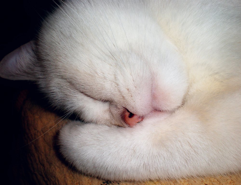 Photograph by Татьяна Зема