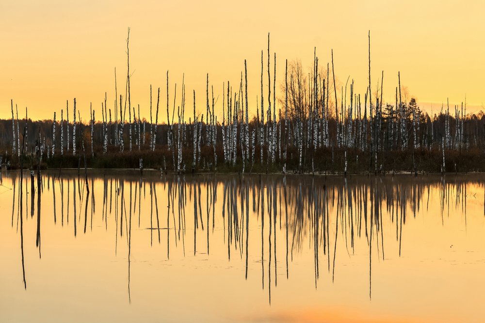 Photograph by Элина Хван