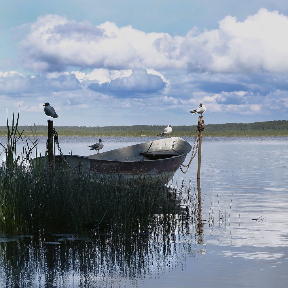 Photograph by Наталья Букарева