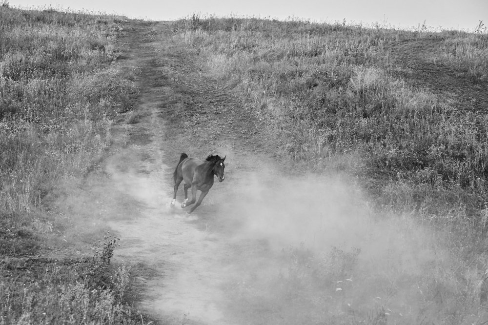 Photograph by Maslova Iryna