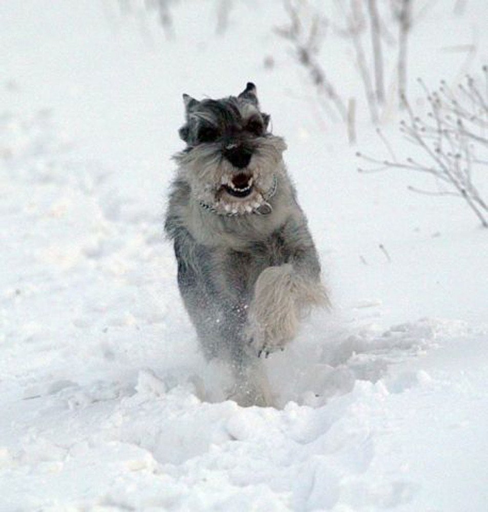 Photograph by Сергей Колганов