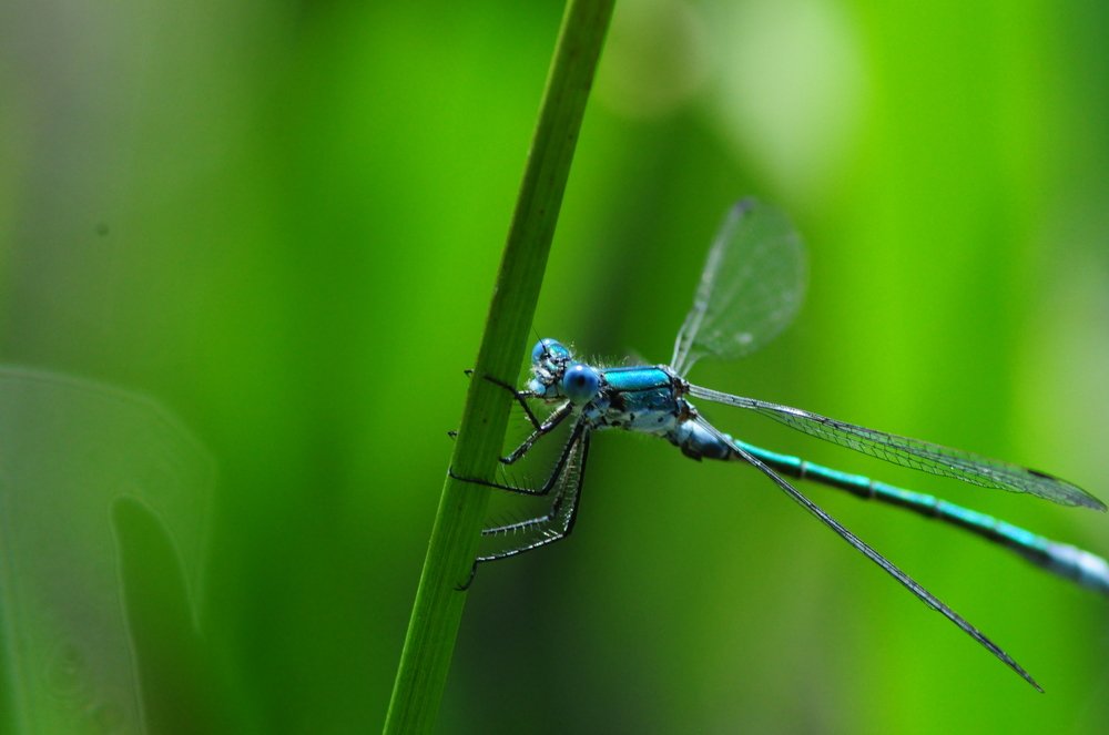 Photograph by Николай Абрамов