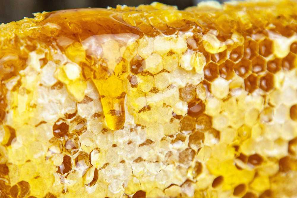 Photograph by Анастасия Блинкова