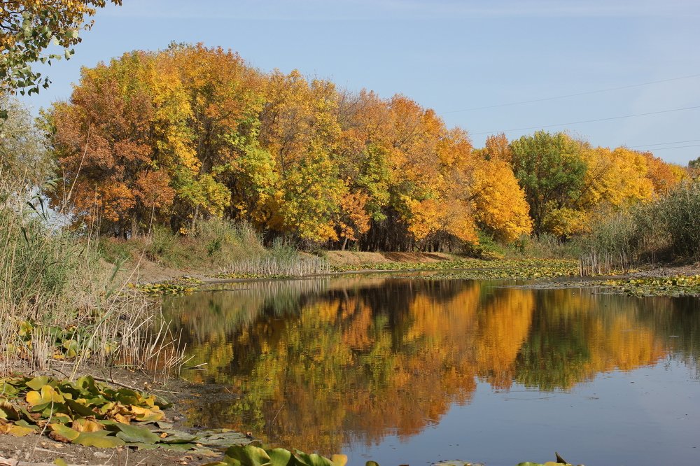 Photograph by Екатерина Ирижепова