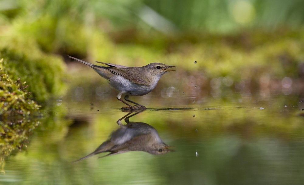 Photograph by Елена Куликова