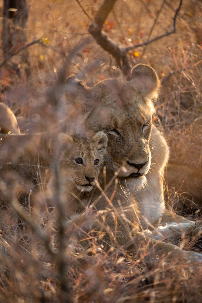 Photograph by Marcha Bauerlein-de Jong