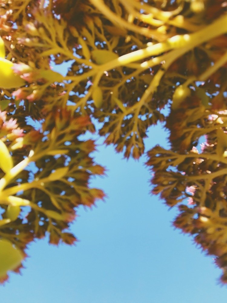 Photograph by Татьяна Козлова