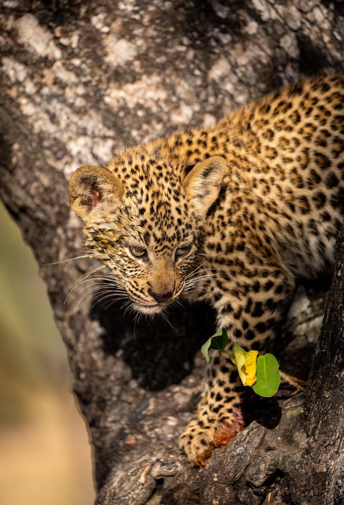 Photograph by Marcha Bauerlein-de Jong