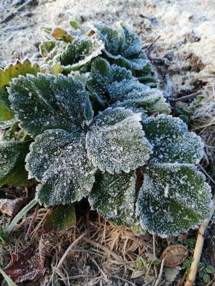 Photograph by Лариса Смирнова