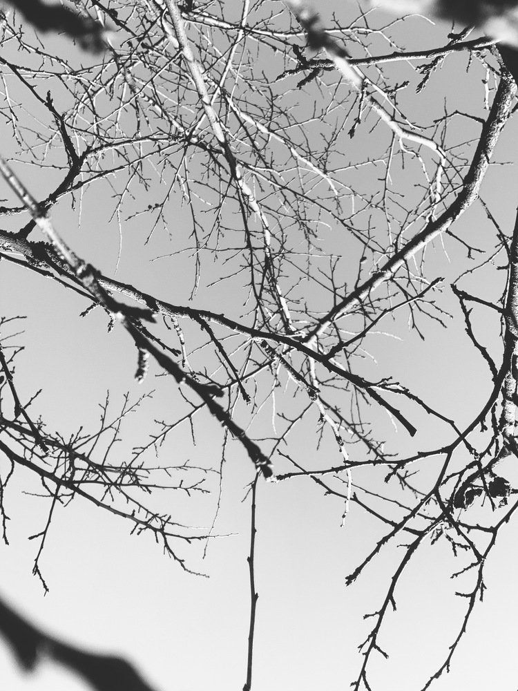 Photograph by Татьяна Козлова