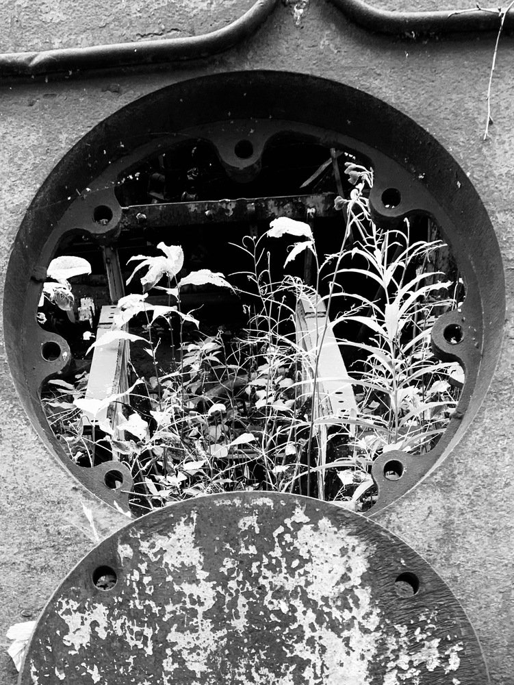 Photograph by Татьяна Козлова