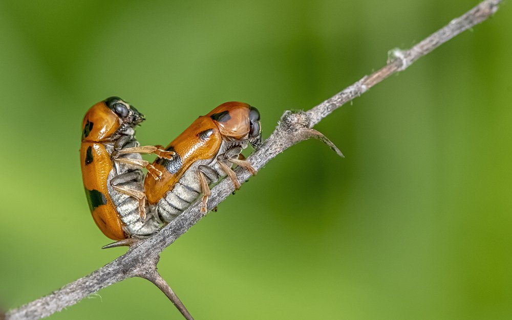 Photograph by gyana mohanty