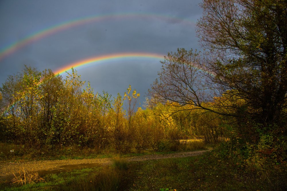 Photograph by Михаил Кравченко