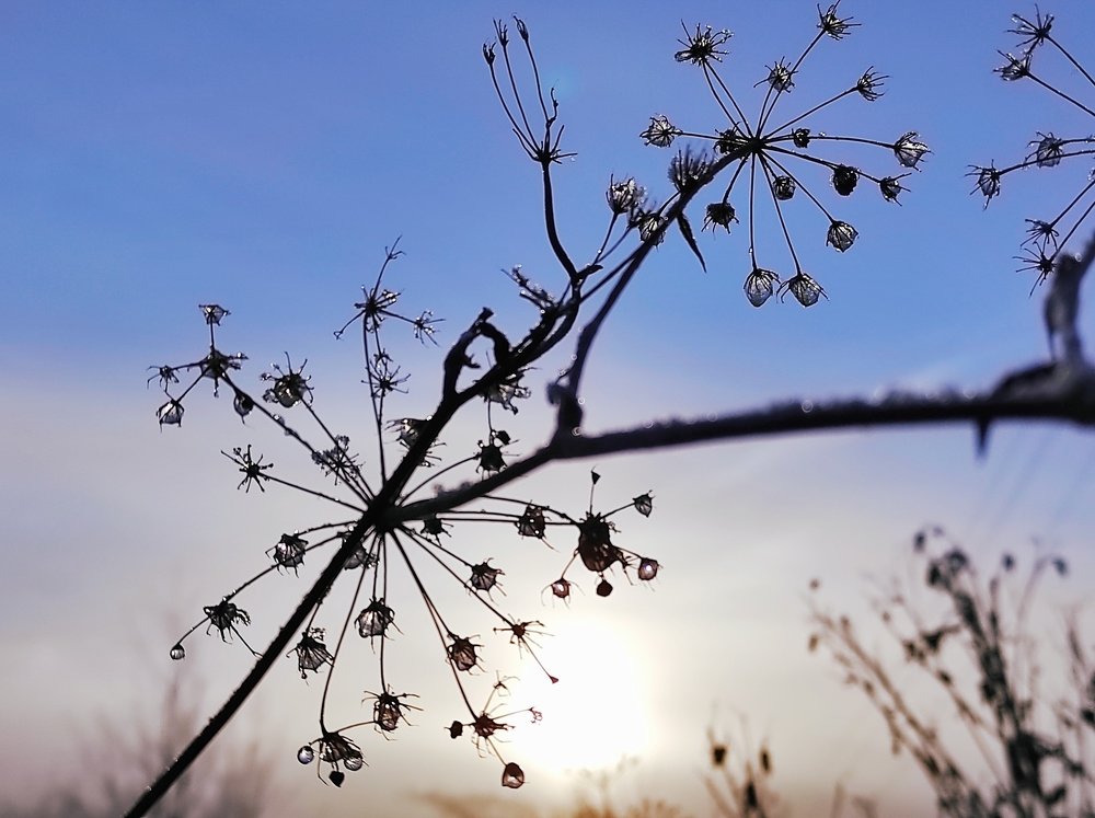 Photograph by Ирина Саттарова