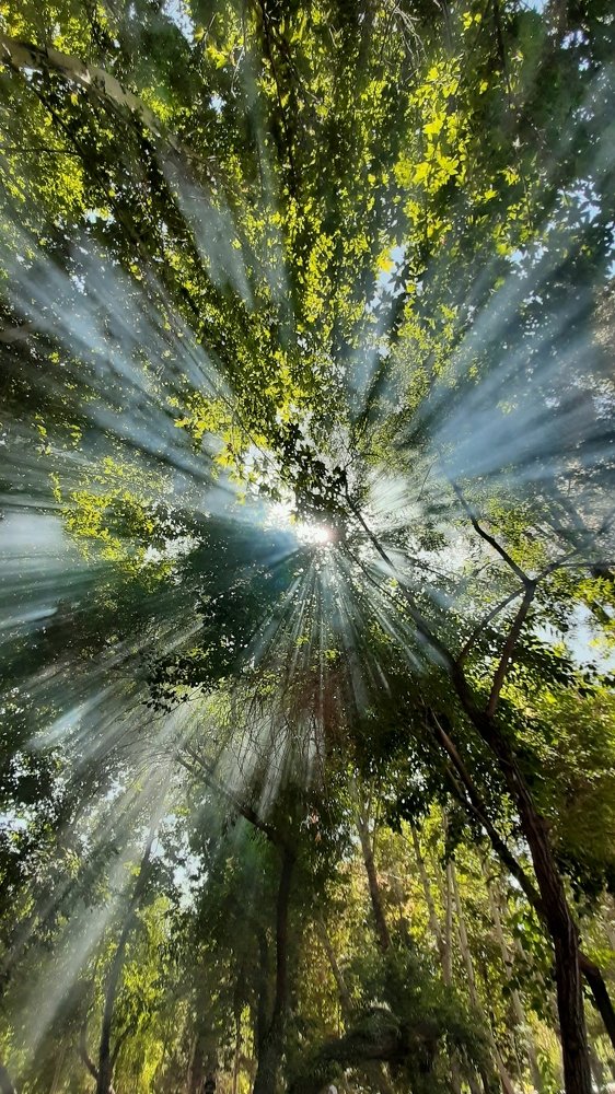 Photograph by asal esteki