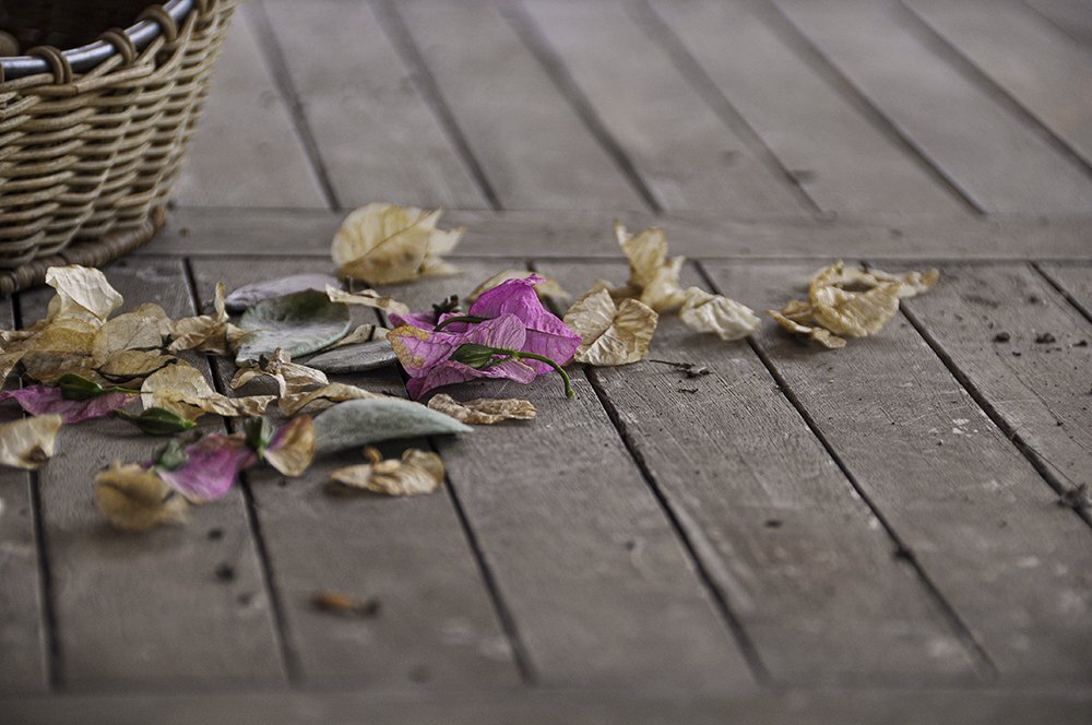 Photo #5197562
