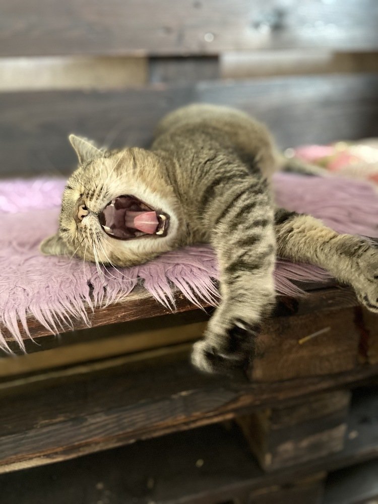 Photograph by Елена Клочкова