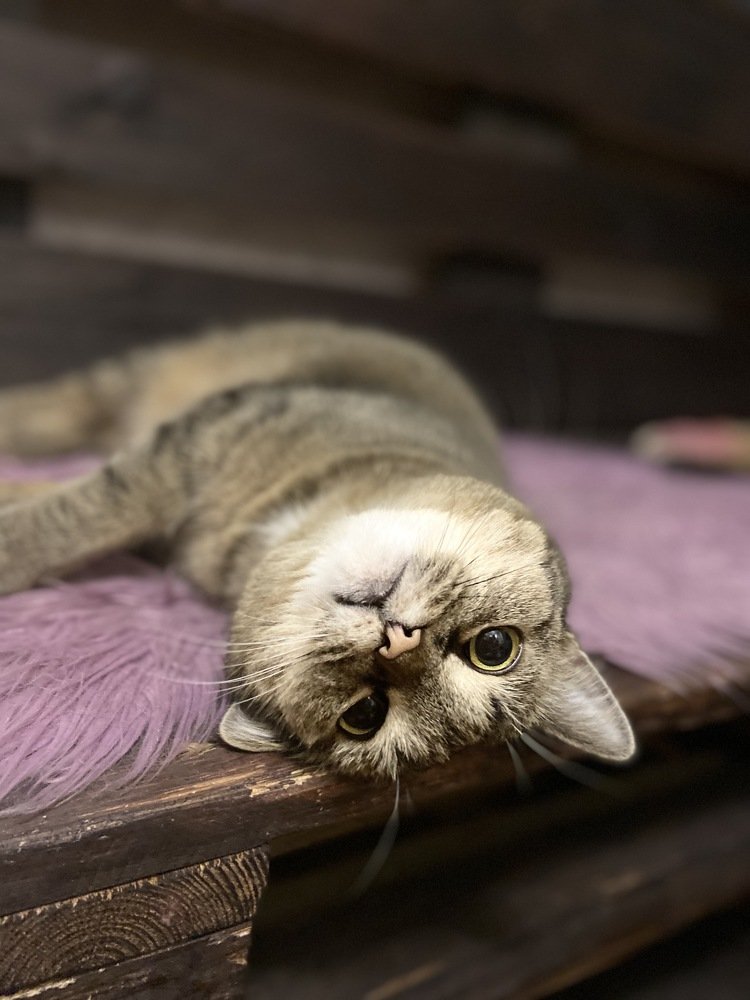 Photograph by Елена Клочкова