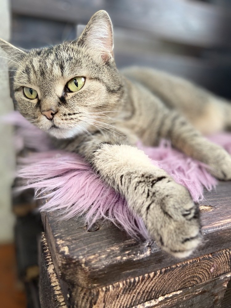 Photograph by Елена Клочкова