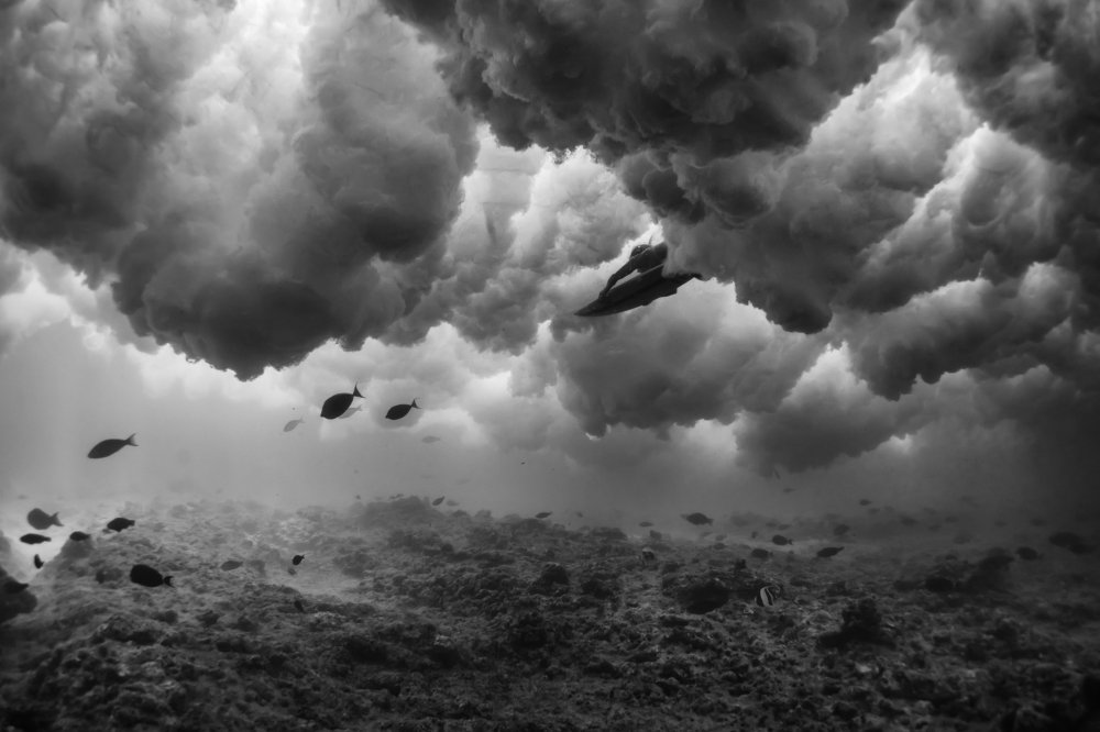 Photograph by Светлана Романцова