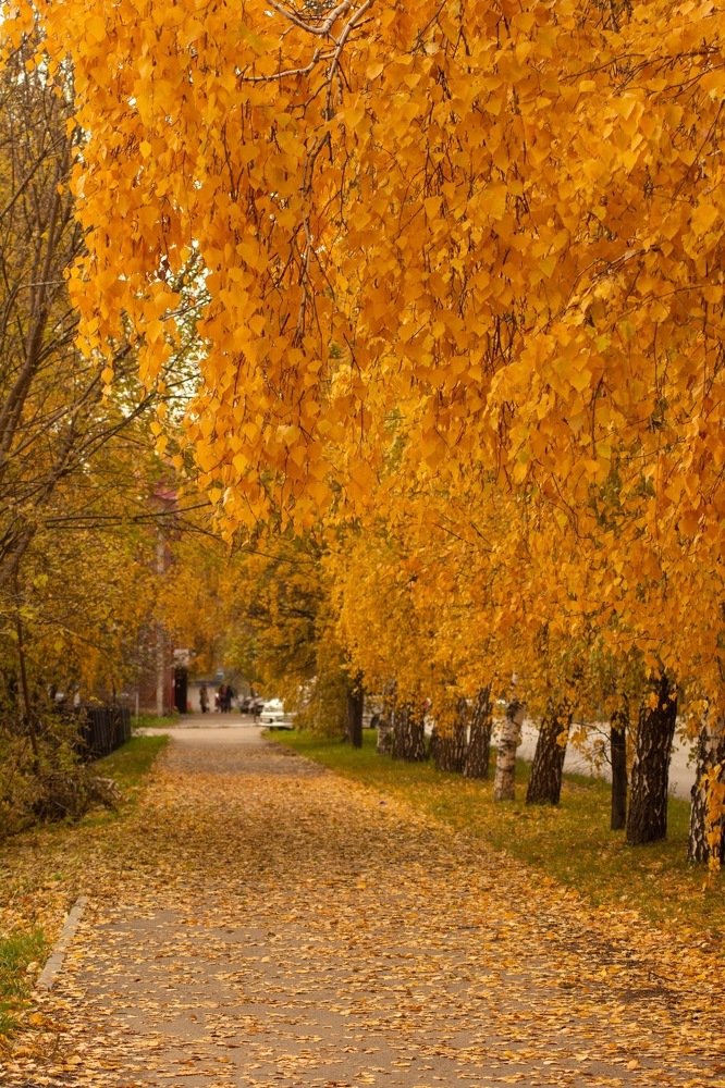 Photograph by Елена Клочкова