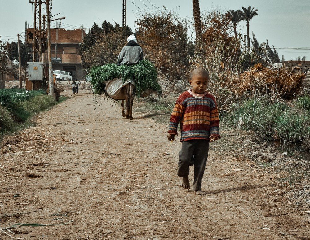 Photograph by Radwa Taha