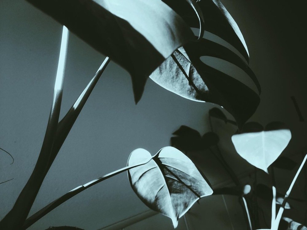 Photograph by Станислав Ситников