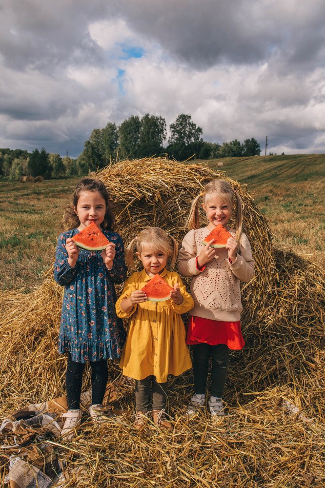 Осенние арбузы)