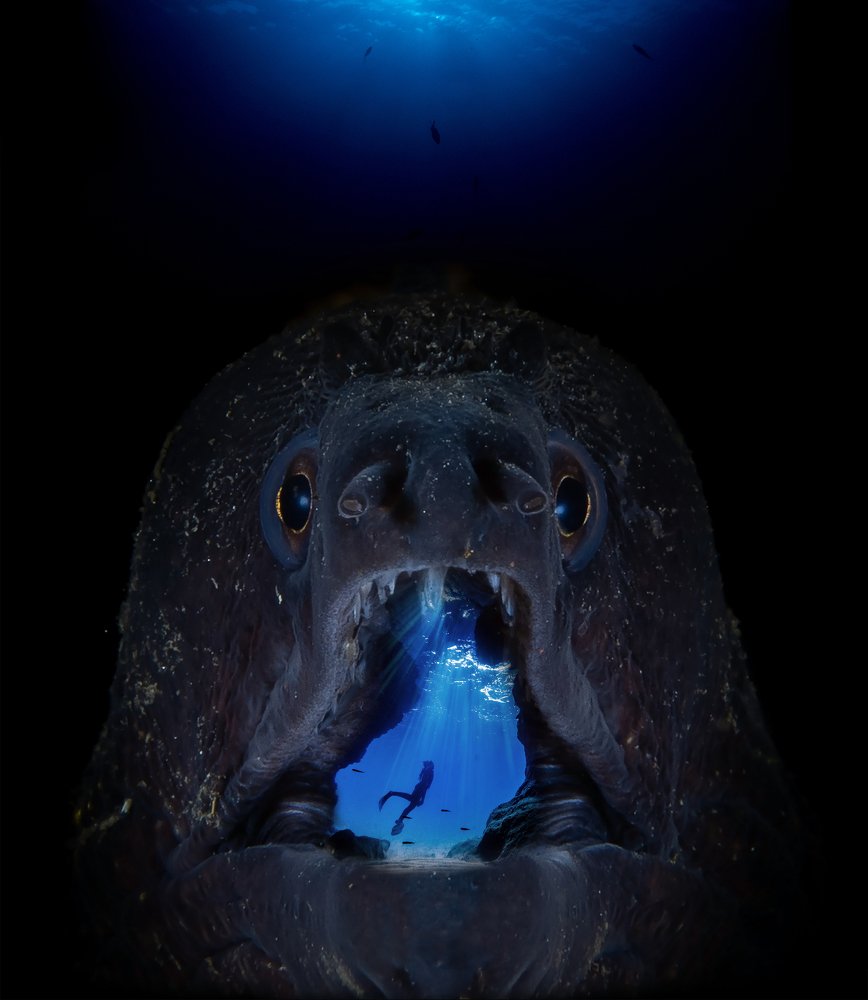 Фотография автора Francisco Sedano