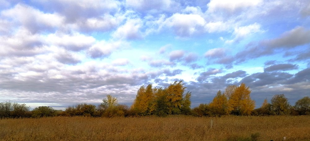 Photograph by Елена Сахарова