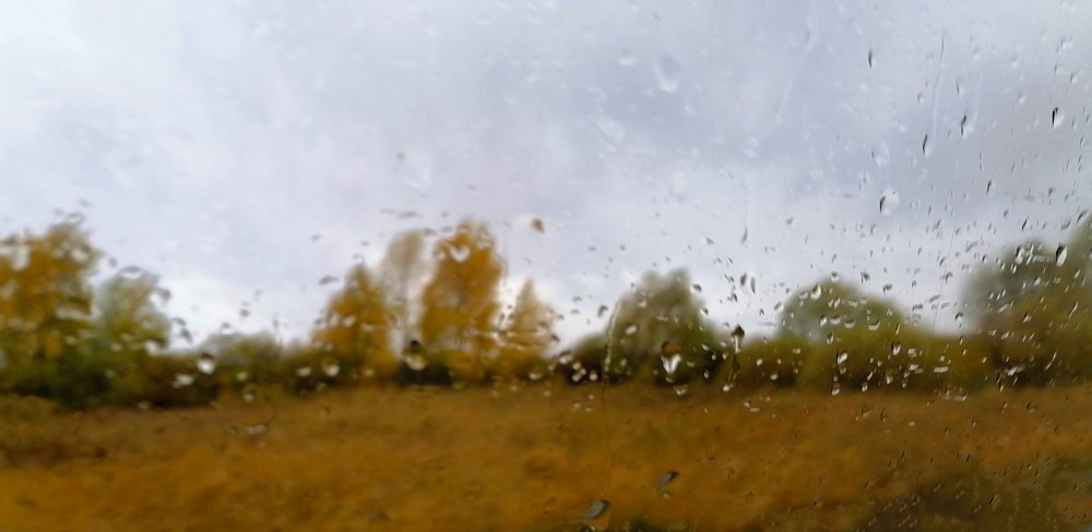 Photograph by Елена Сахарова