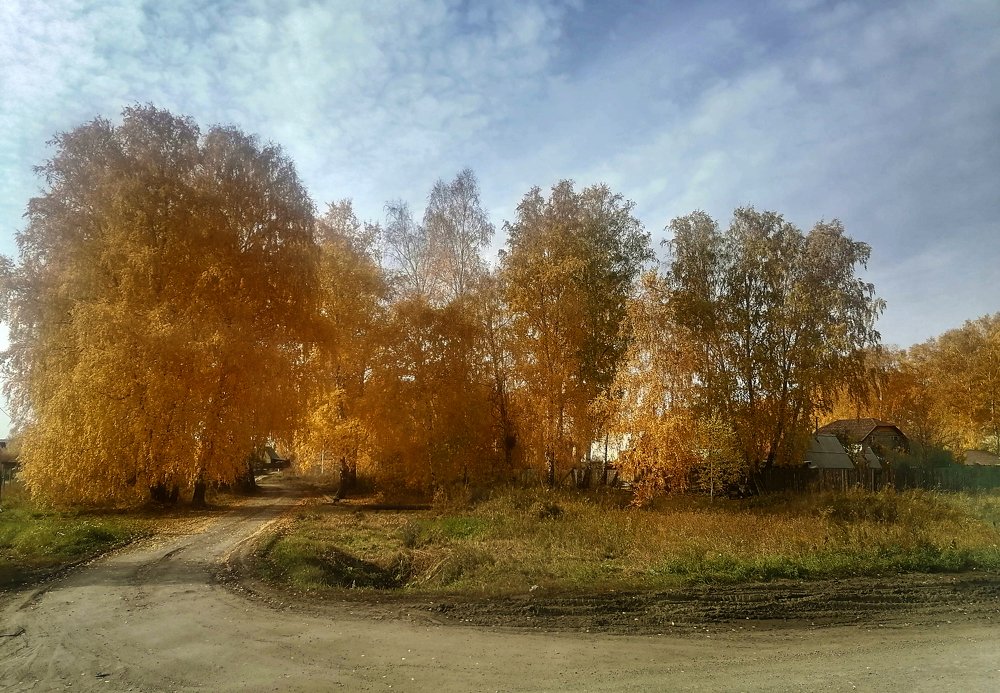 Photograph by Елена Сахарова