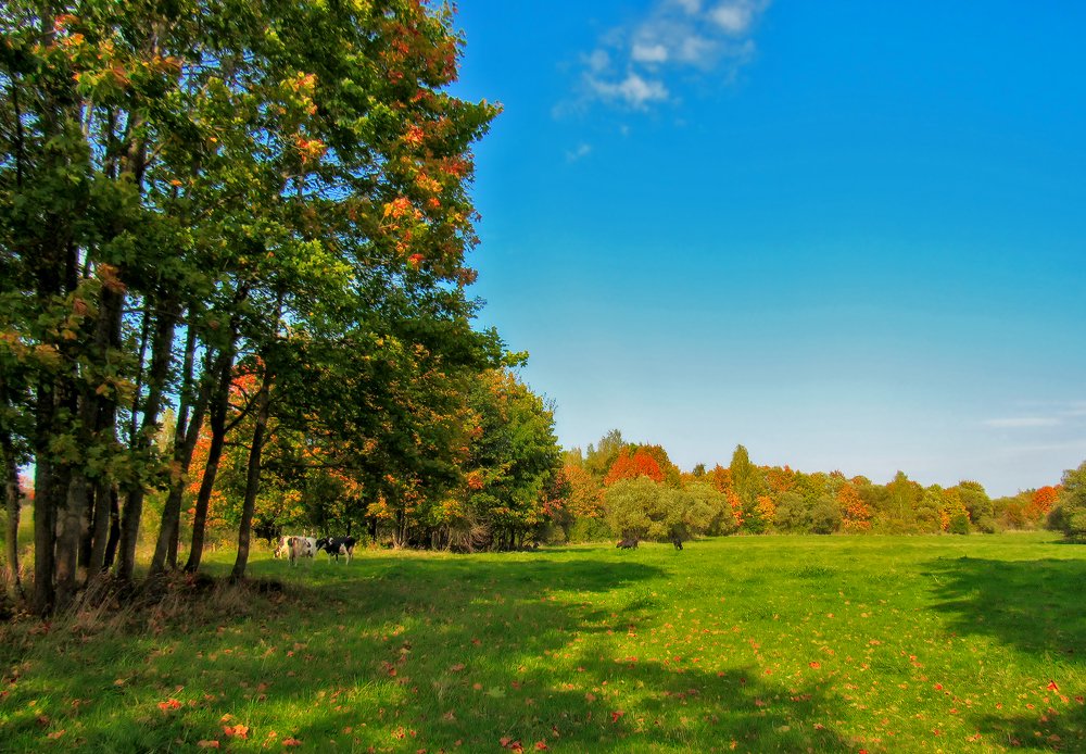 Photograph by Дмитрий Обувалин