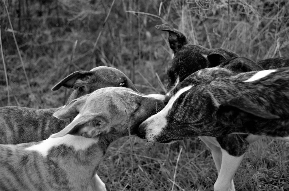 С мамой интересней!