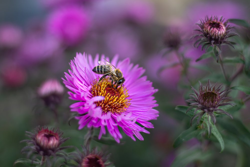 Photograph by Оксана Казакова