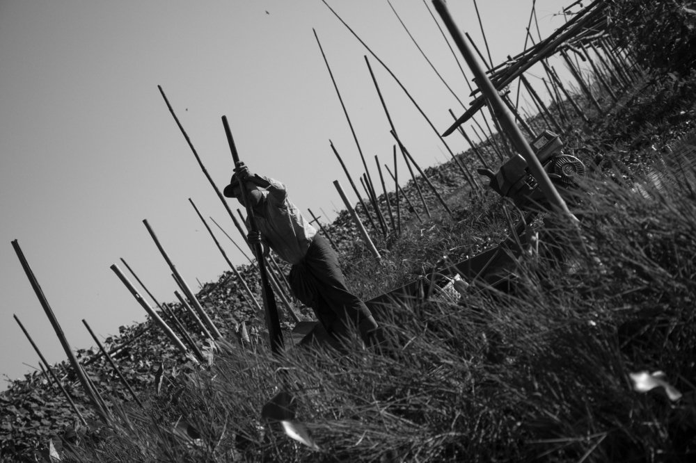 Photograph by Paing Xis