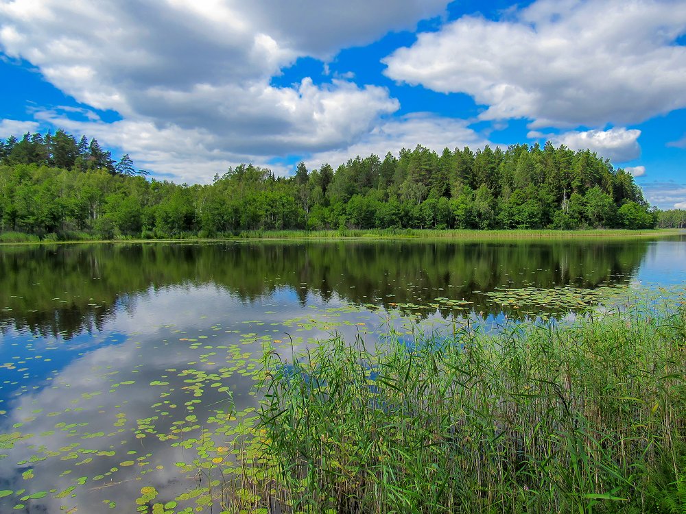 Photograph by Дмитрий Обувалин