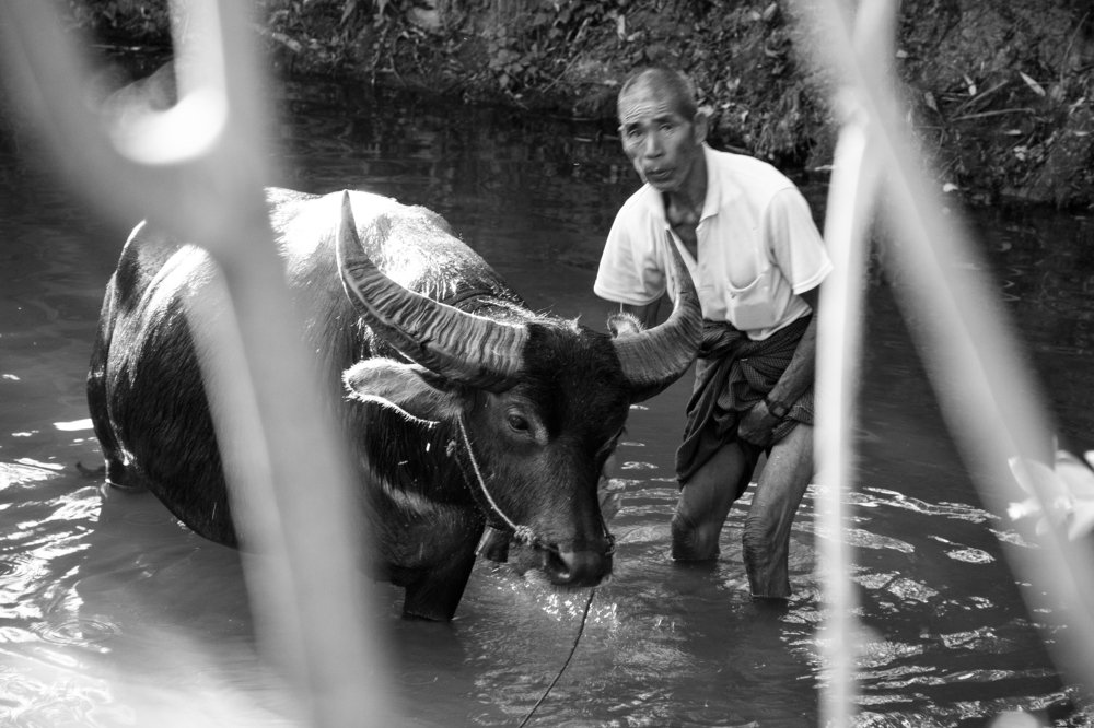 Photograph by Paing Xis