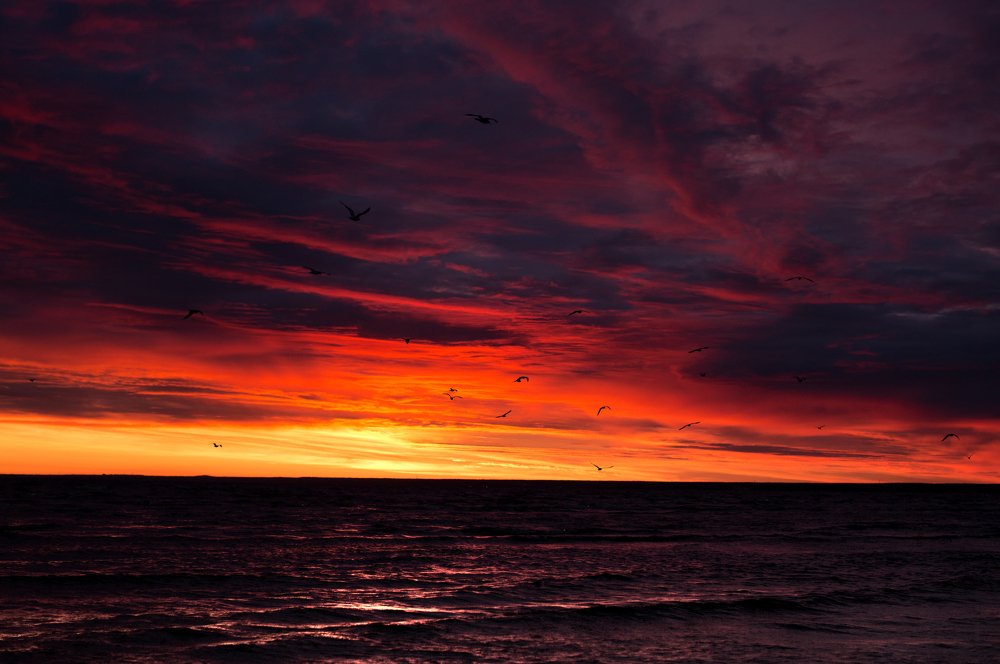 Photograph by Яна Орлова