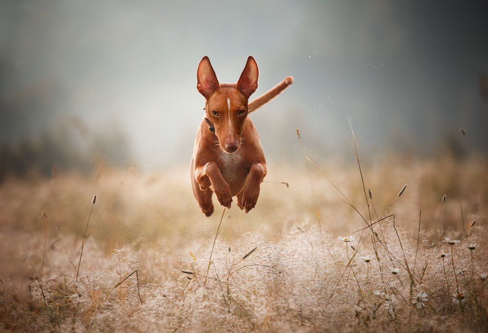 Photograph by Наталия Поникарова