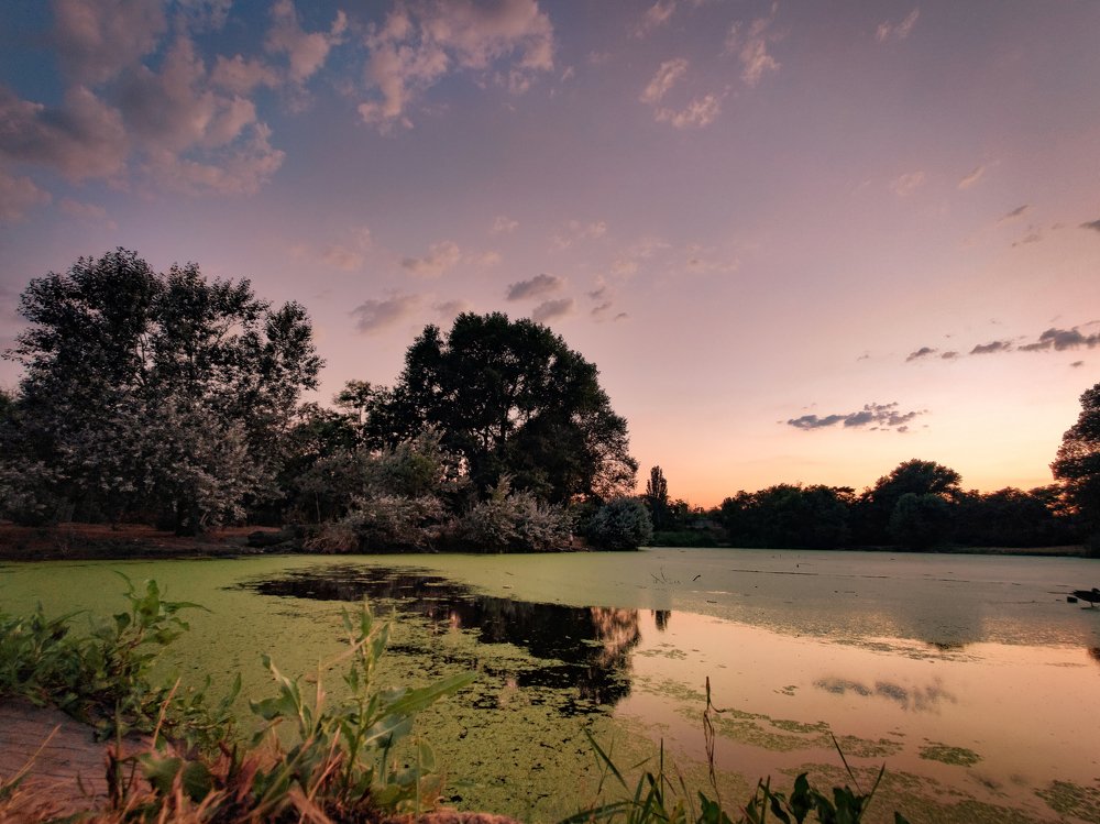 Photograph by Дарья Прусс