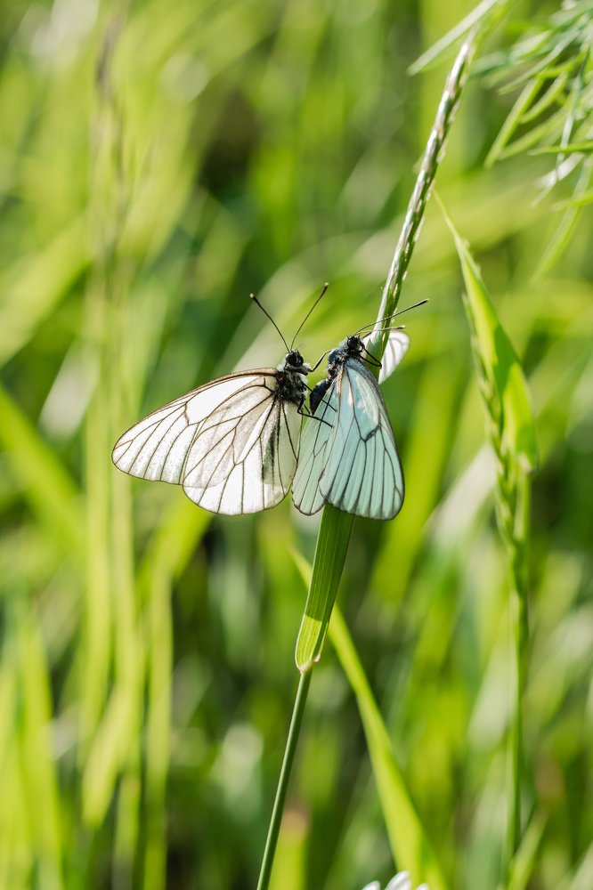 Любовь под солнцем