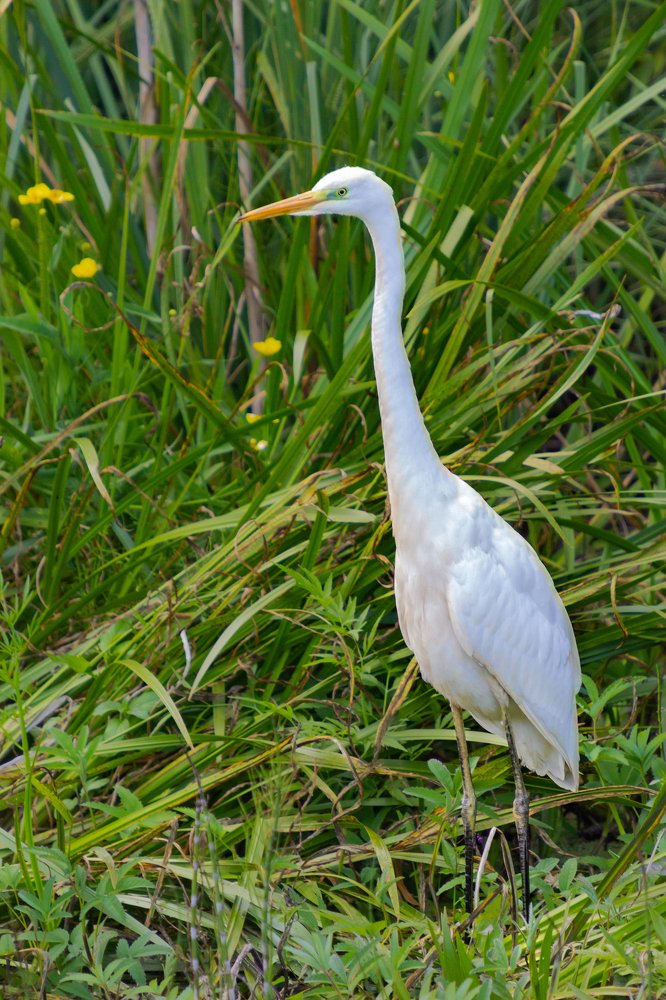 Photograph by Оксана Казакова