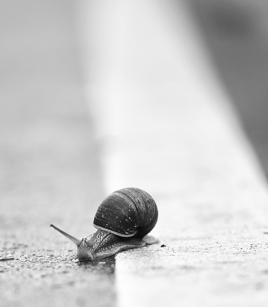 Photograph by Михаил