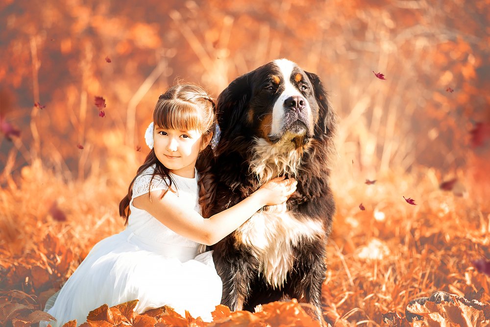 Photograph by Катя Барбус