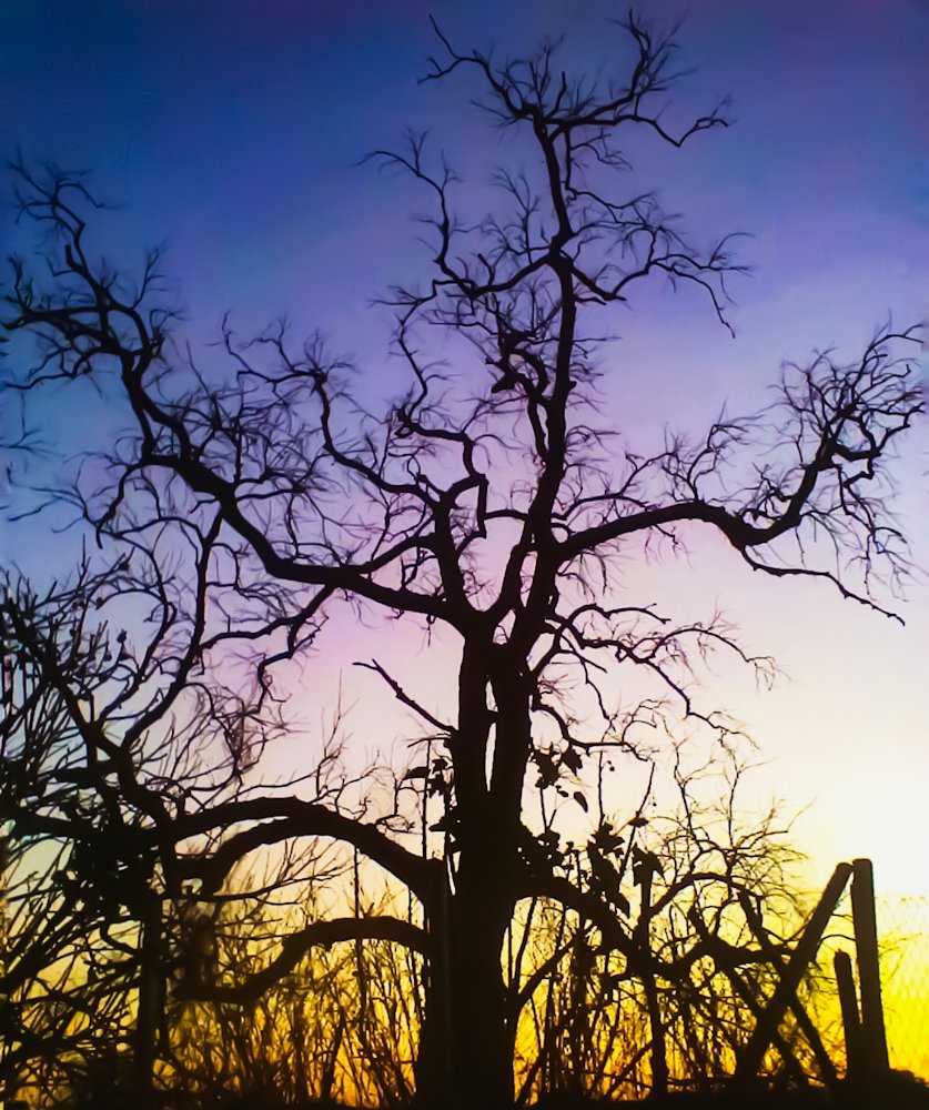 Photograph by DURGESH KUMAR