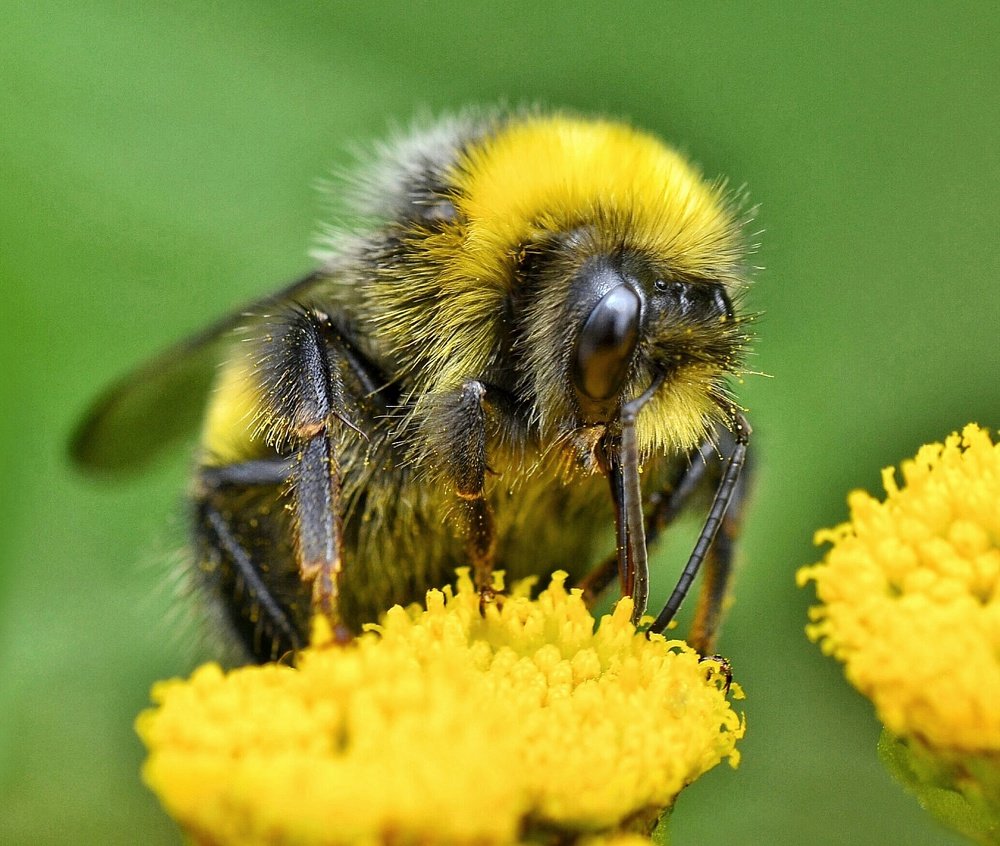 Photograph by Алексей Фомичев