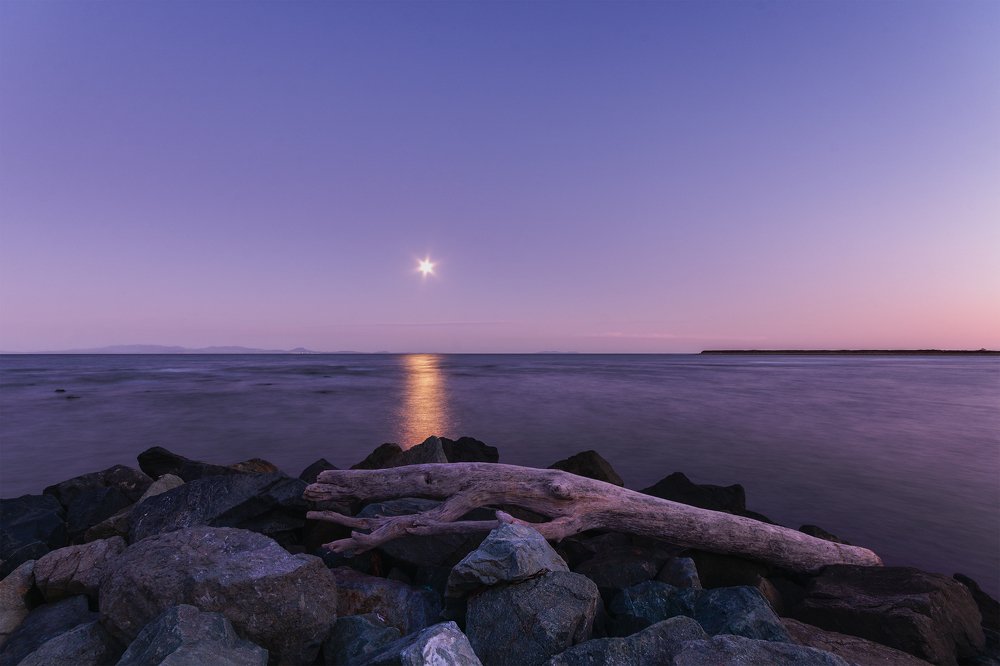 Photograph by Павел Абакумов