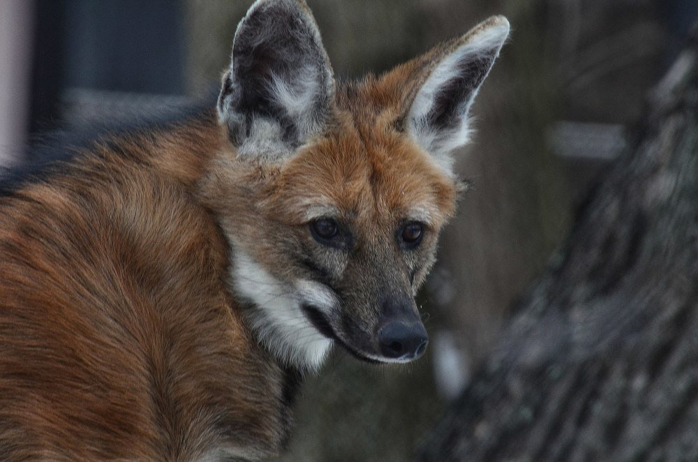 Photograph by Алексей Фомичев